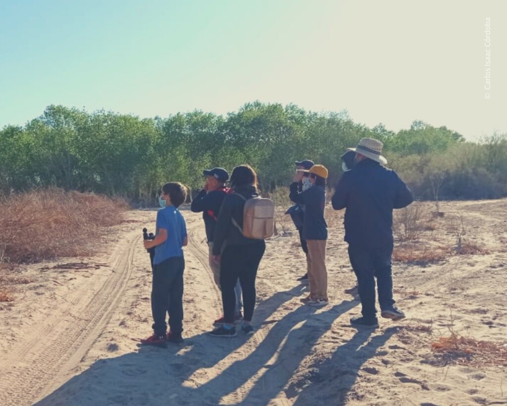 Let's build a pollinator garden at Miguel Aleman