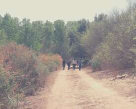 Visitors walking at Miguel Aleman Restoration Site