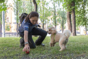 Rescue dog trainer,Kyiv resident's companion dog