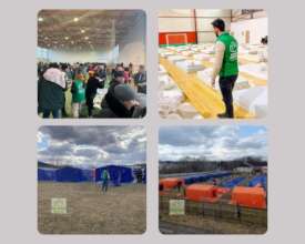 shelter, mattresses, tents