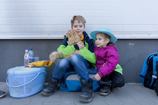 A family arrived safely in Poland with their cat