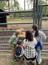 Summer Camps, Poland