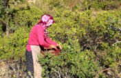 Support Women Empowerment with SUMAC