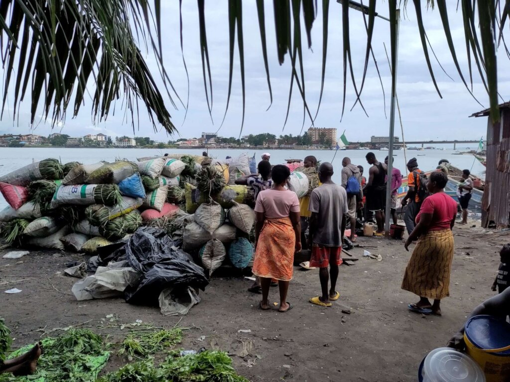 Support 90 micro-entrepreneurs in Sierra Leone