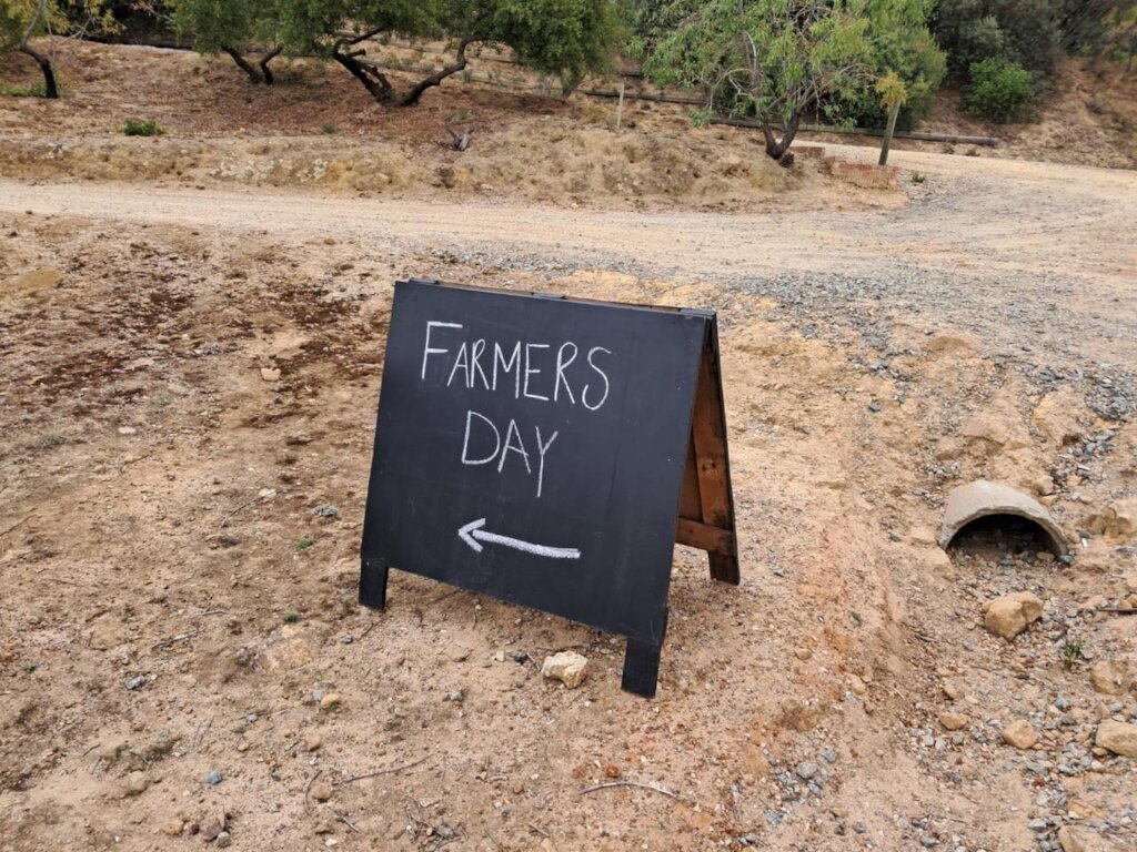 Farmers Day ....Bus directions for visiting MBA's