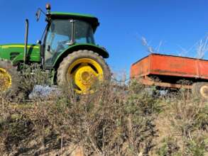 Talented tractor driving ensures safe reed deposit