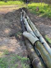 Poplar poles enabled construction of erosion humps