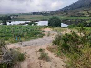 New Vondeling humps work well to prevent gulleys