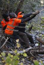 Teamwork