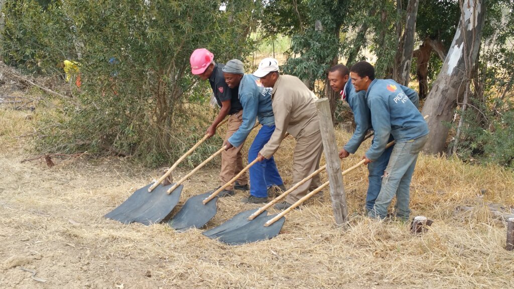 Conservation and Wildfire Prevention, W Cape, RSA
