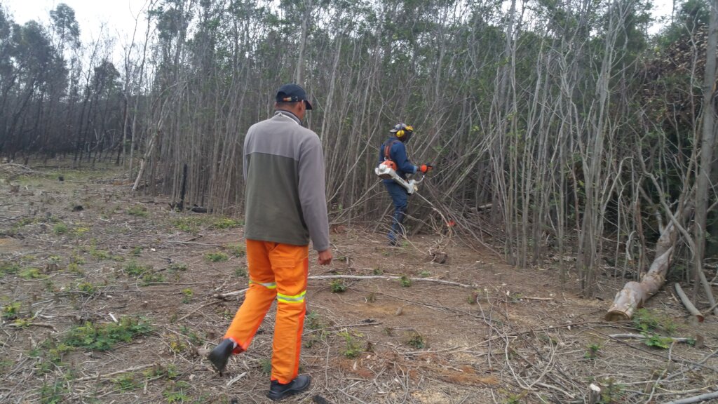 Conservation and Wildfire Prevention, W Cape, RSA