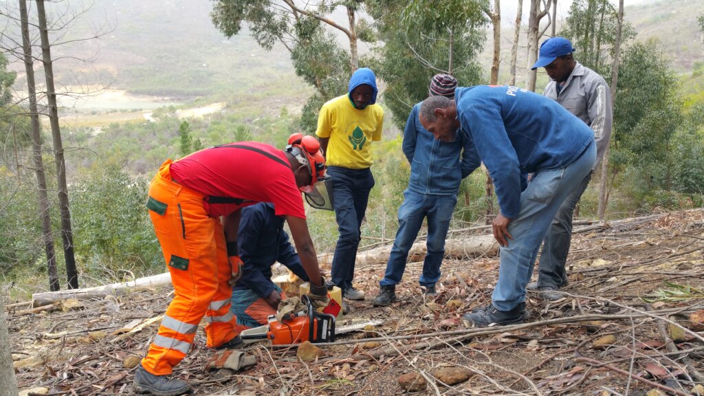 Conservation and Wildfire Prevention, W Cape, RSA