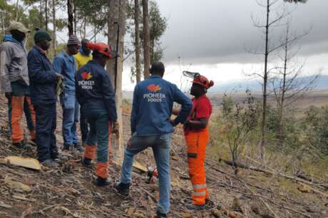 Conservation and Wildfire Prevention, W Cape, RSA