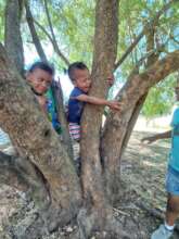 Playing with her peers climbing a tree