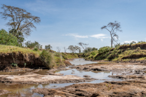 Ewaso Ng'iro River June 2022