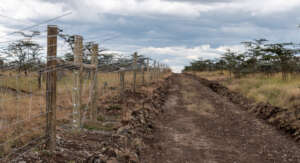 Newly repaired fence on Ol Pejeta