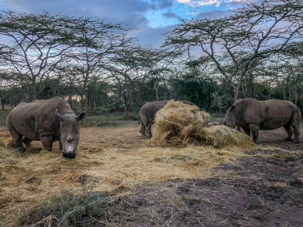 Enhancing Climate Resilience: People and Wildlife