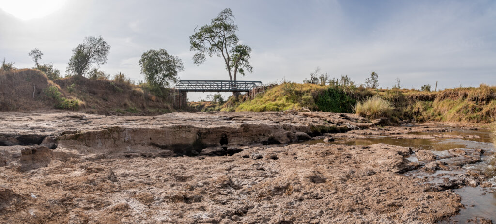 Enhancing Climate Resilience: People and Wildlife