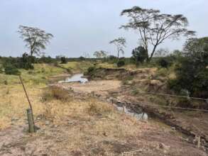 Ewaso Ng'iro River