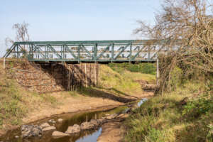 Ewaso Ng'iro River