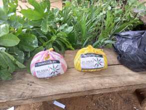 Seed crops donated to rural farmers