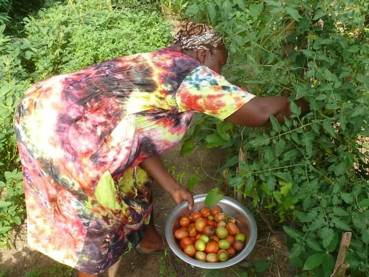 SEED TO WEALTH
