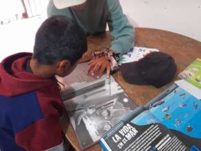 Helping the kids to read