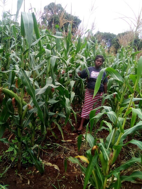 Tropical Storm Ana Relief in Southern Africa