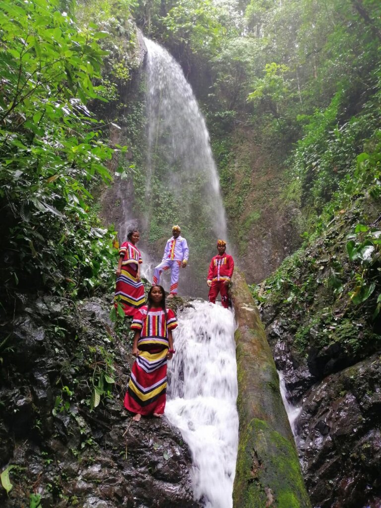 Save the Sacred Forest and Build Tribal Economy