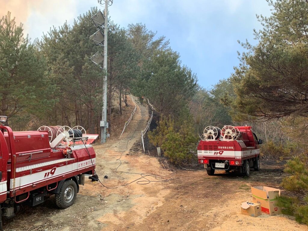 The worst forest fire in Korea ever, Please HELP