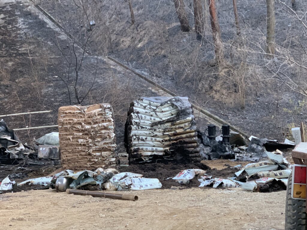 The worst forest fire in Korea ever, Please HELP