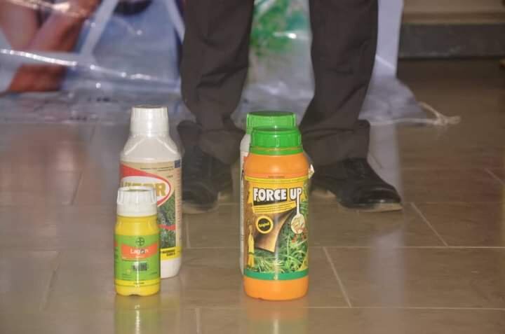 Empower 200 Farmers in Kebbi Achieve More Income