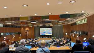 UN Trustee Council