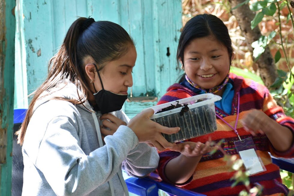 Vocational guidance for rural youth in Mexico