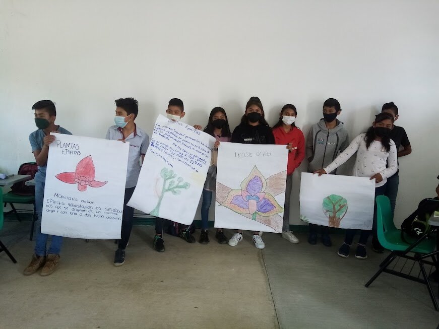 Vocational guidance for rural youth in Mexico