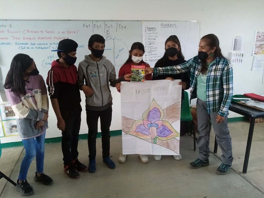 Vocational guidance for rural youth in Mexico