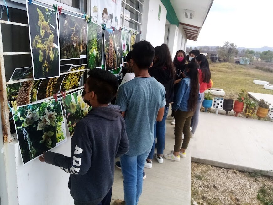 Vocational guidance for rural youth in Mexico