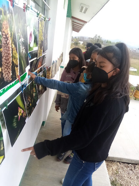 Vocational guidance for rural youth in Mexico