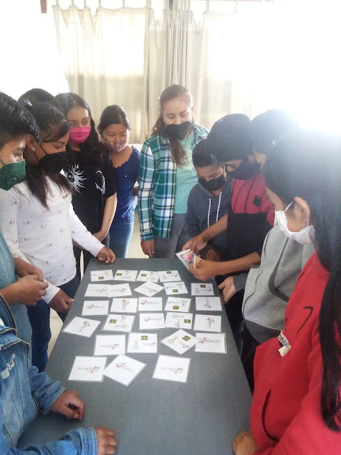Vocational guidance for rural youth in Mexico