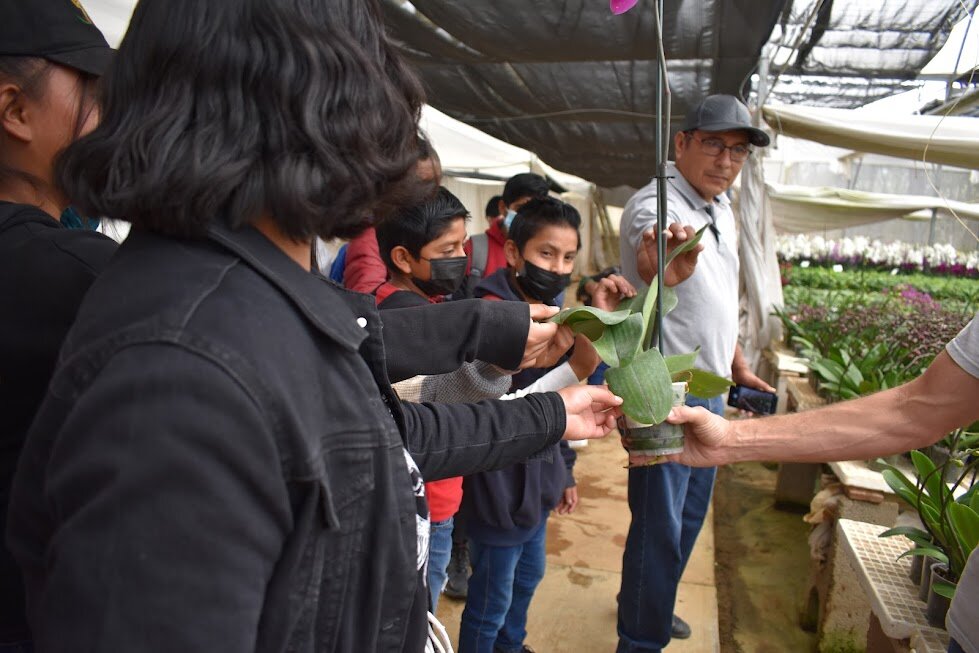 Vocational guidance for rural youth in Mexico
