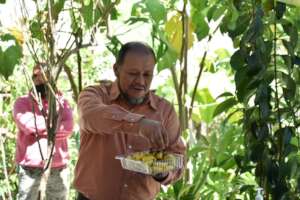 Excursion to San Cristobal Ecological Agronomy