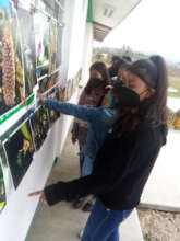Session Biology