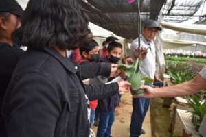 Excursion to the plant nursery Xochipilli