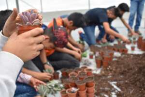 Excursion to the plant nursery Xochipilli