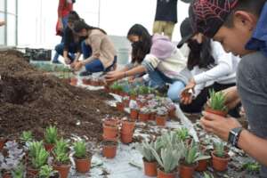 Excursion to the plant nursery Xochipilli