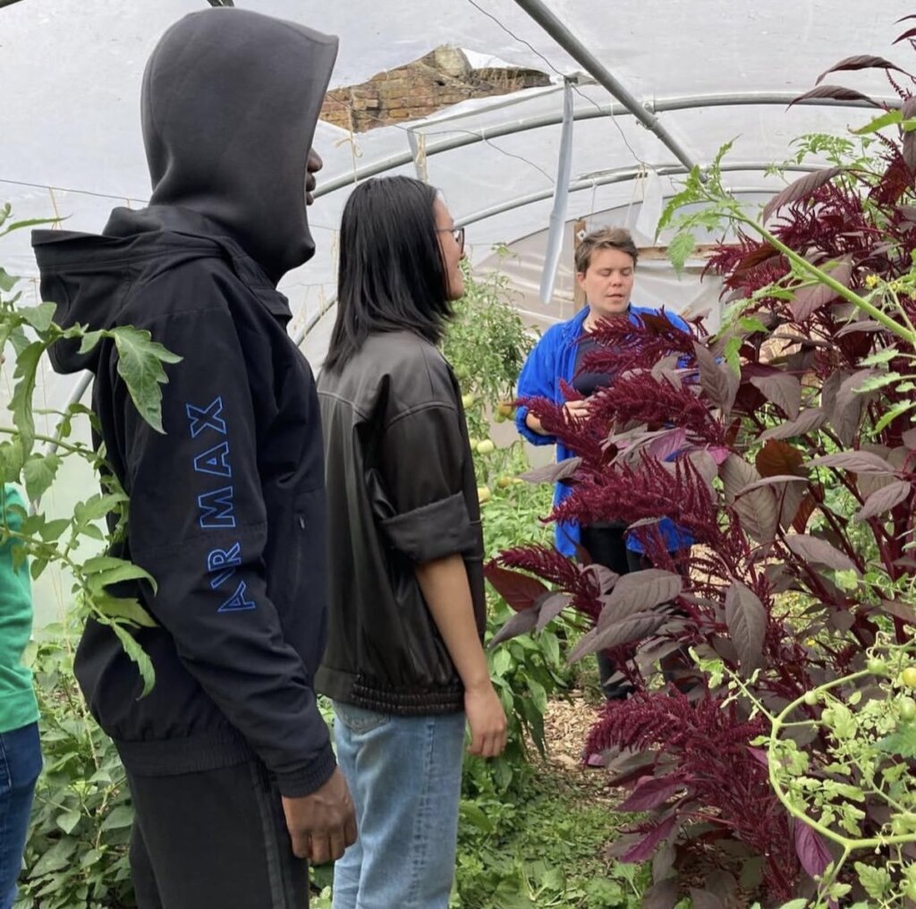 SAYes Mentoring - Support our UK Programmes