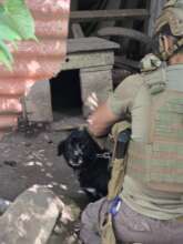 A dog is evacuated by the rescue team in Ukraine