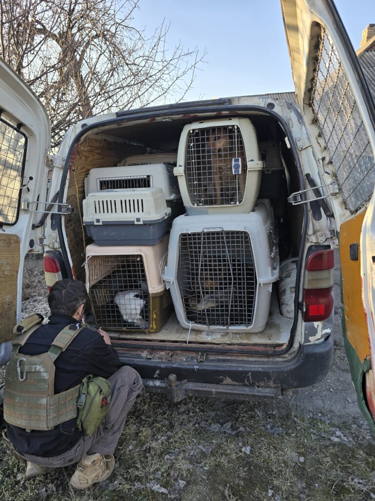 Crates filled with rescued animals x 36