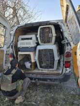 Crates filled with rescued animals x 36