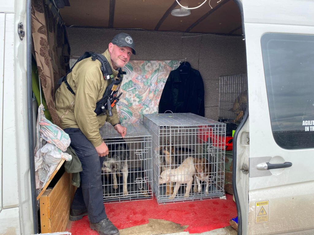 Help Ukrainian animals with our Emergency Fund.